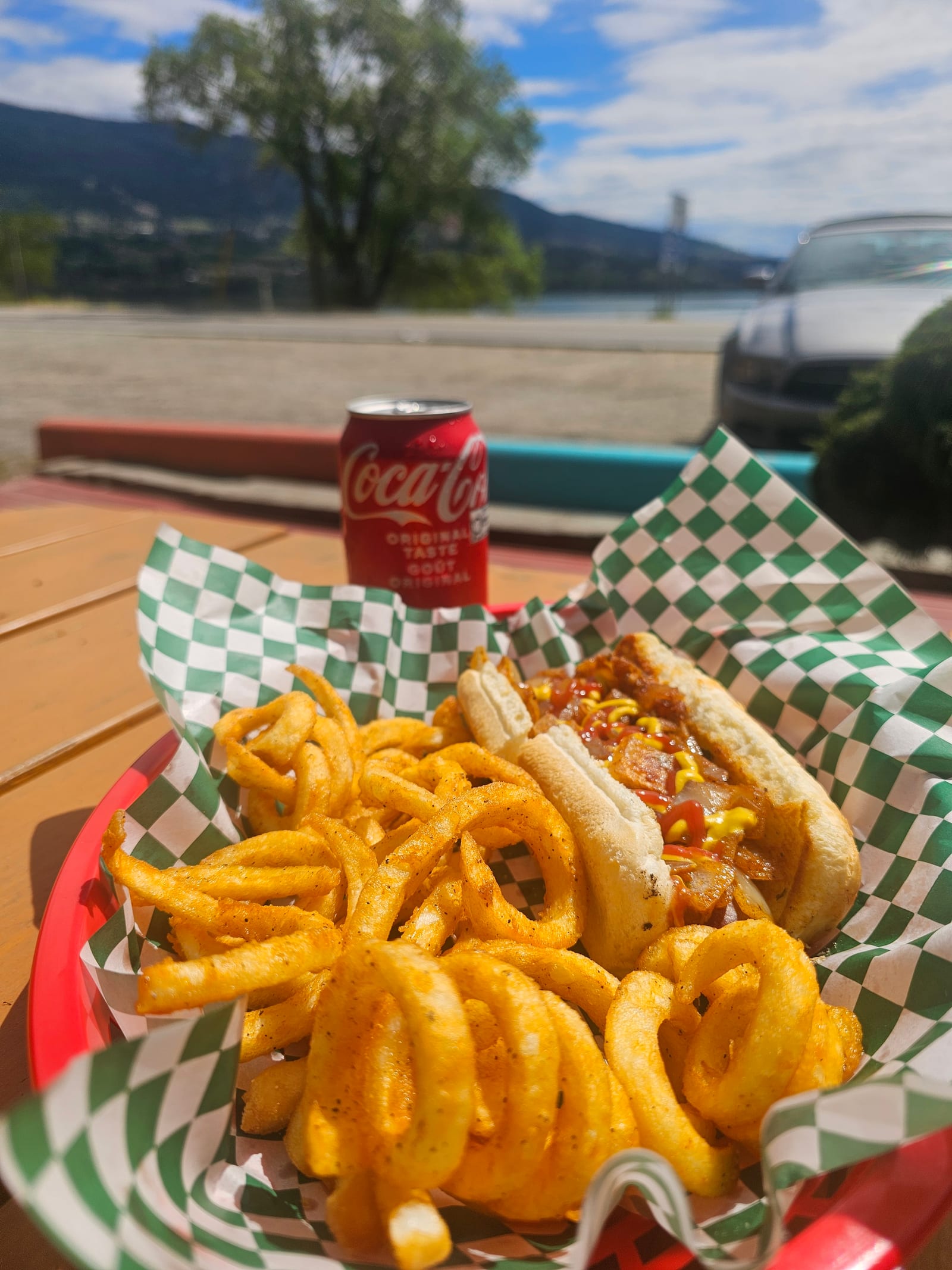 A loaded Lu Lou's hot dog and curly onion rings at a picnic table beside Wood Lake