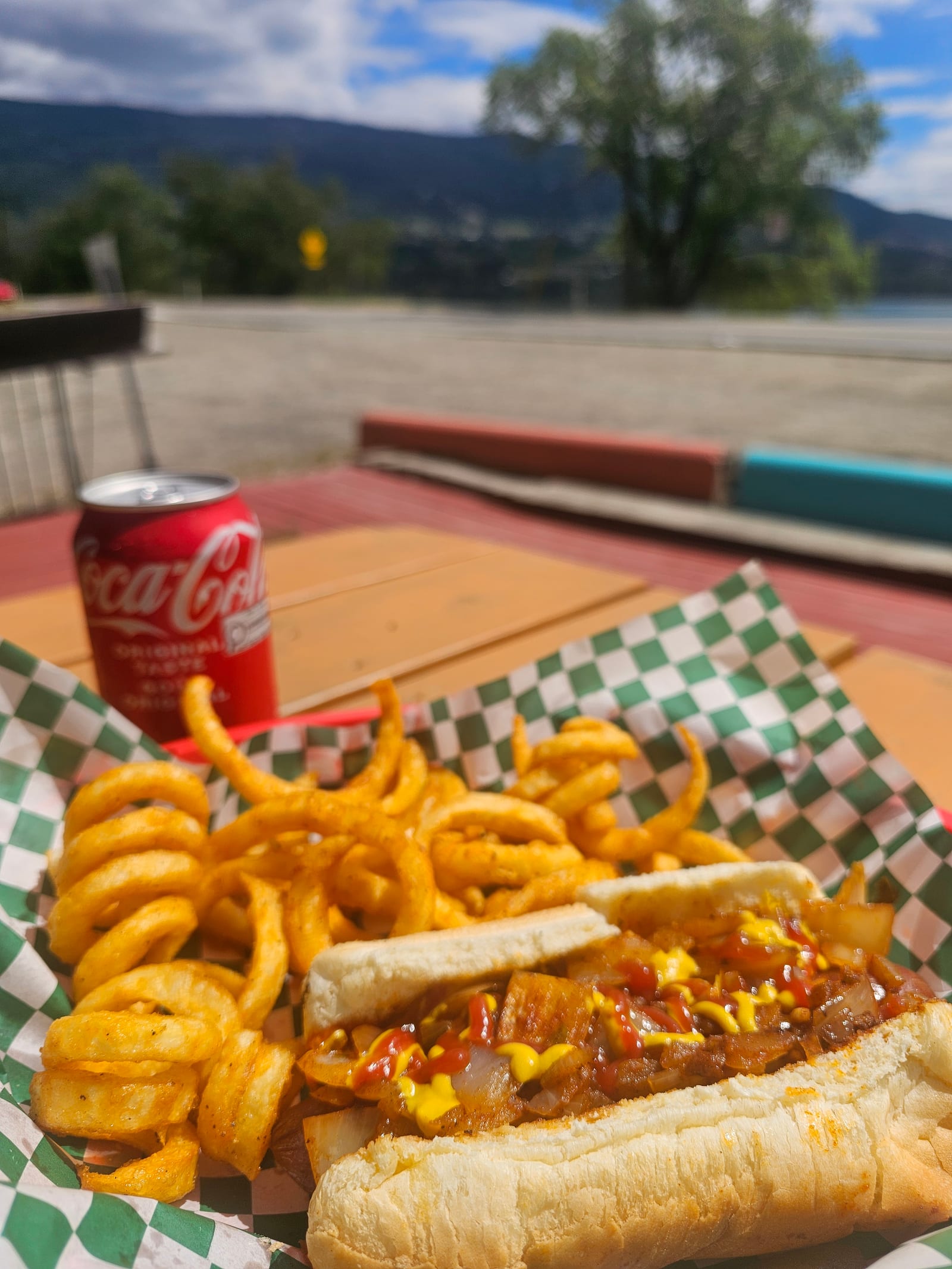 A loaded Lu Lou's hot dog and curly onion rings on a sunny patio table