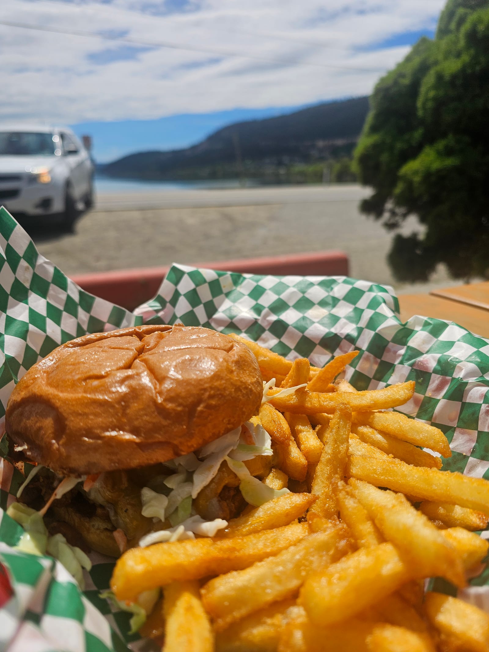 A Lu Lou's Sloppy Joe, fries and a red pop on a sunny picnic table by Wood Lake in Oyama, BC