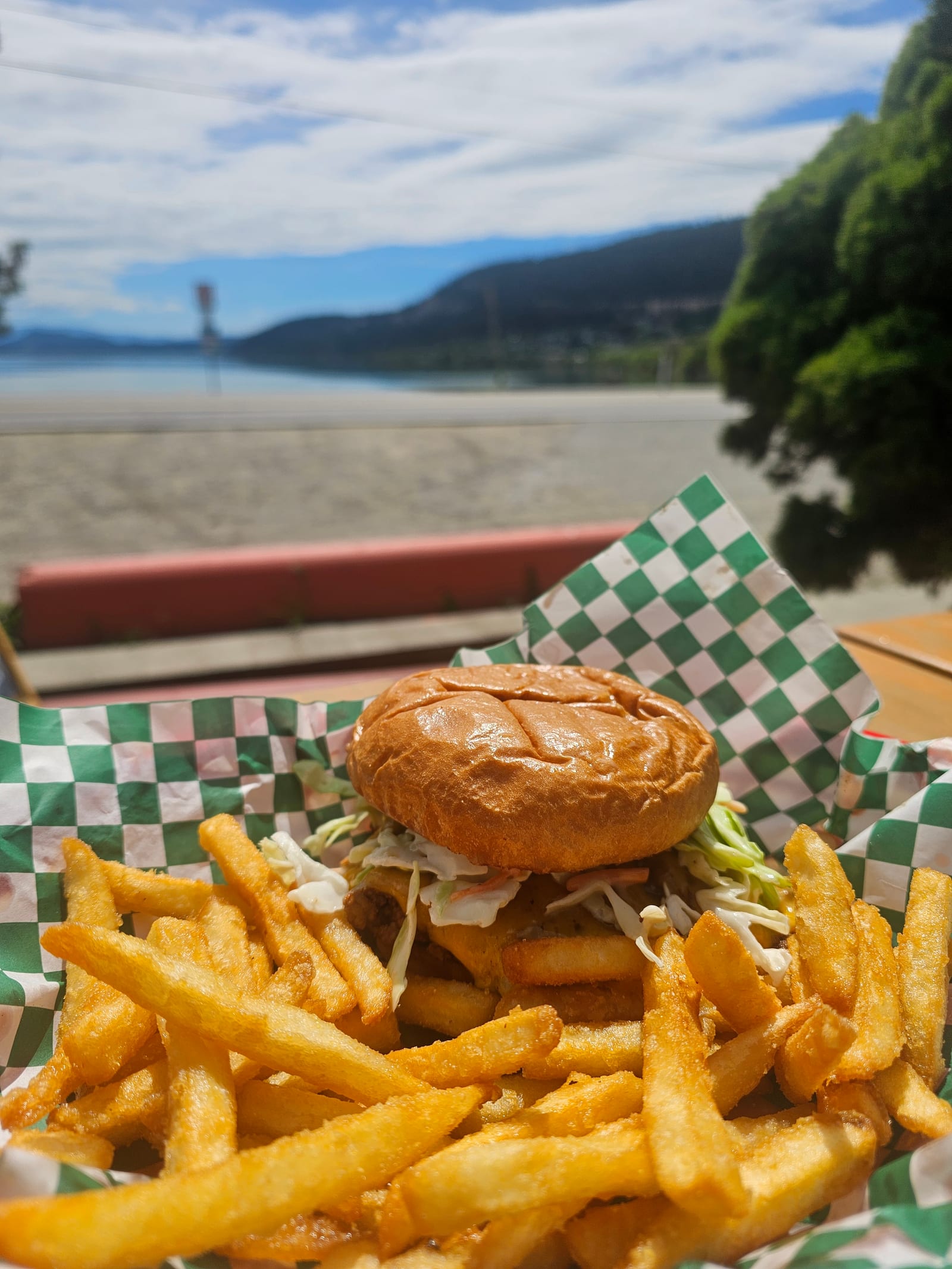 A Lu Lou's Sloppy Joe and fries on a sunny picnic table by Wood Lake